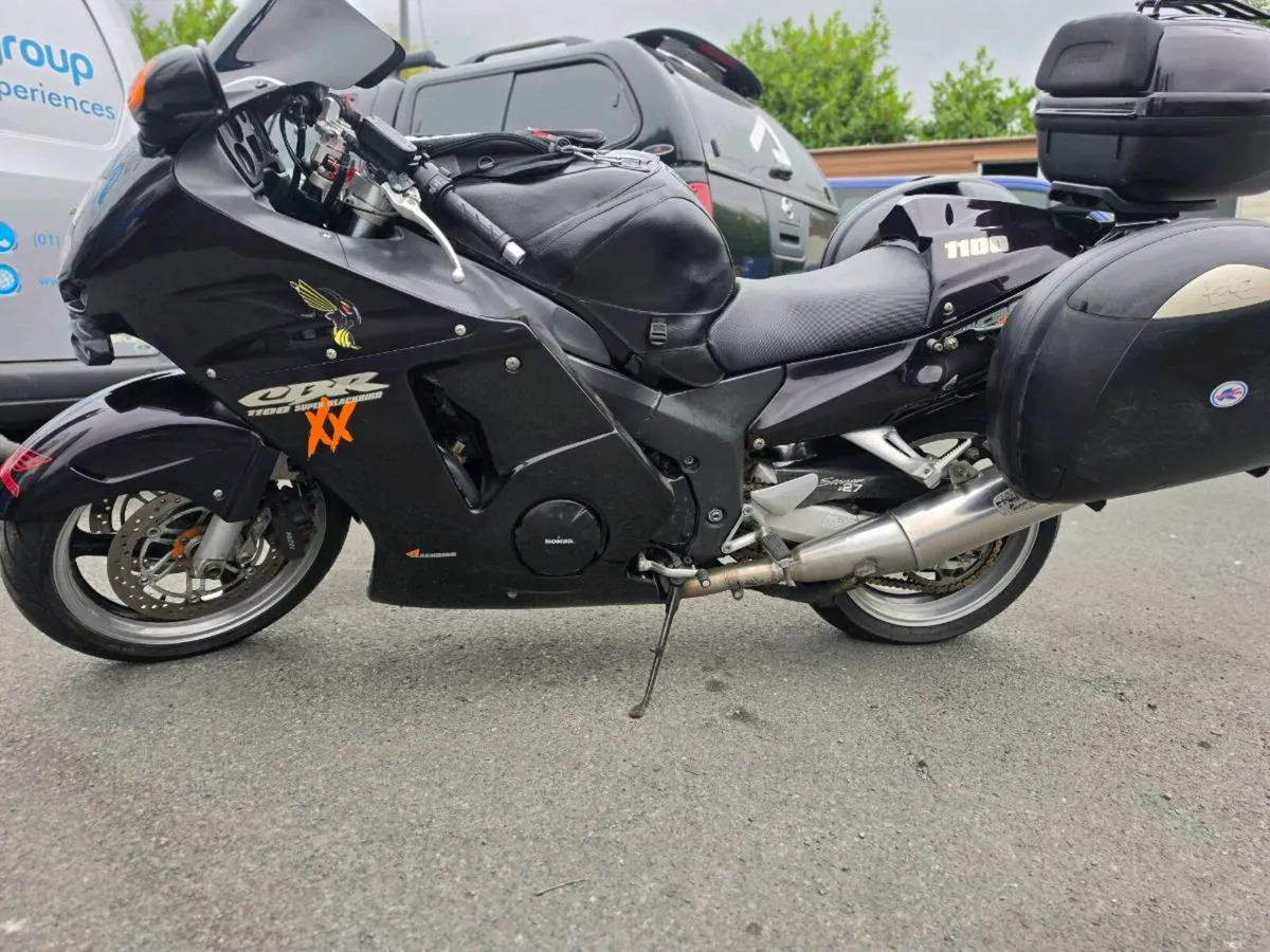 Honda Blackbird - Image 2