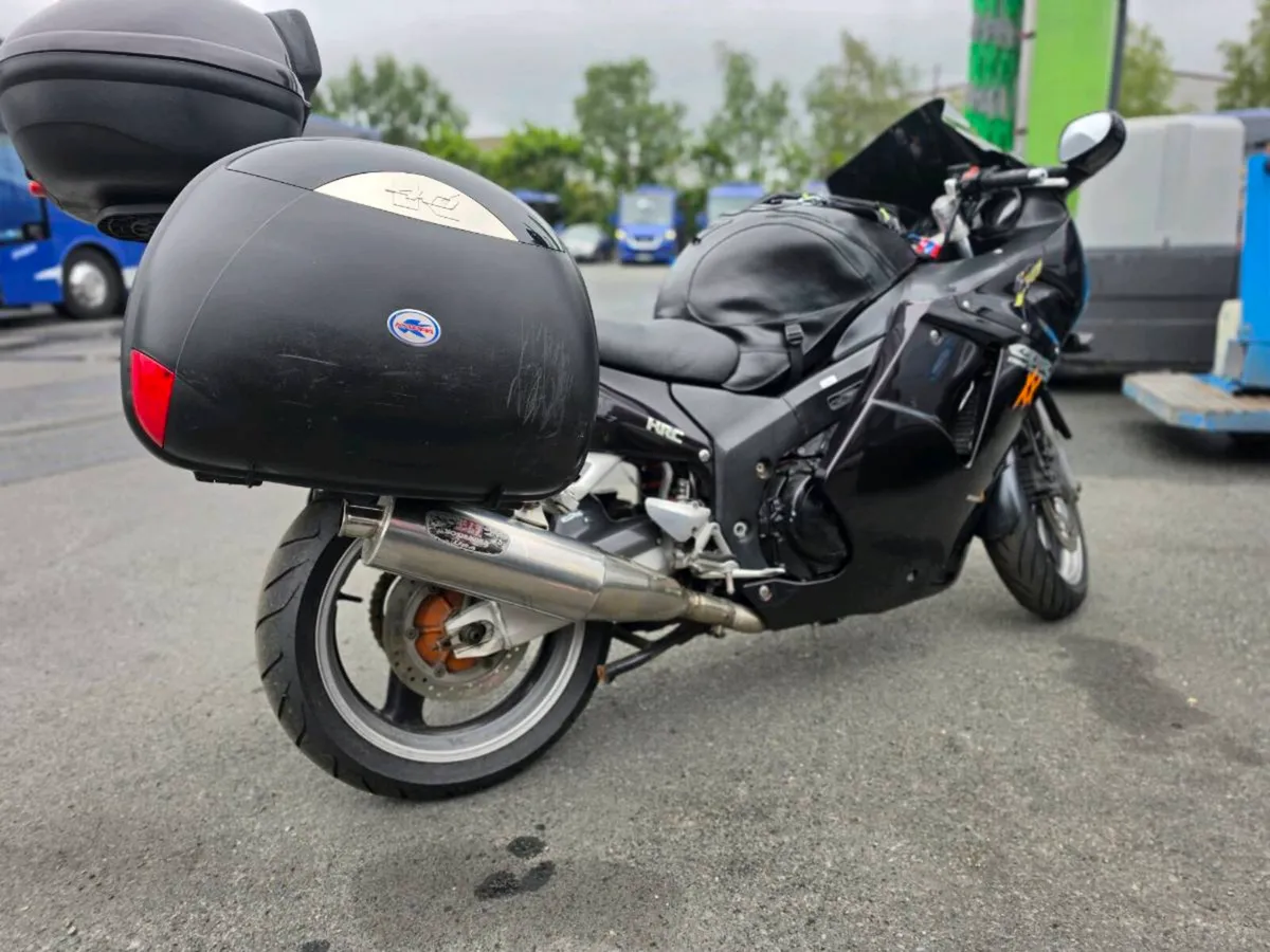 Honda Blackbird - Image 3