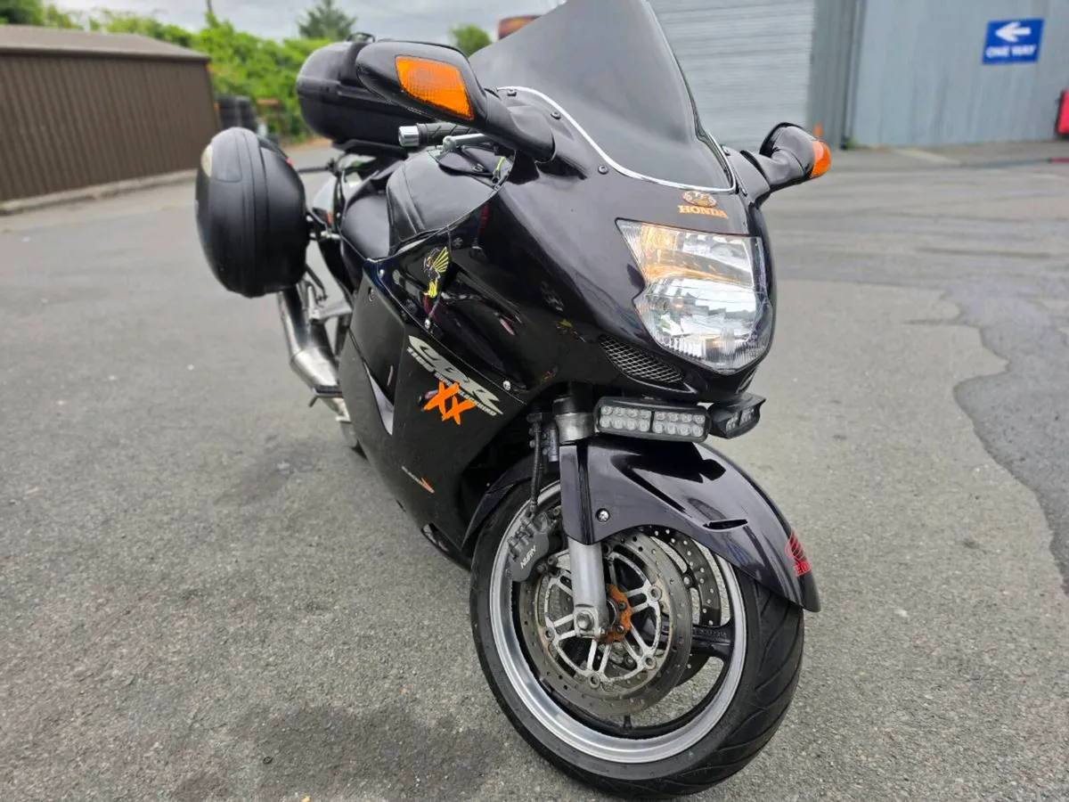 Honda Blackbird - Image 4