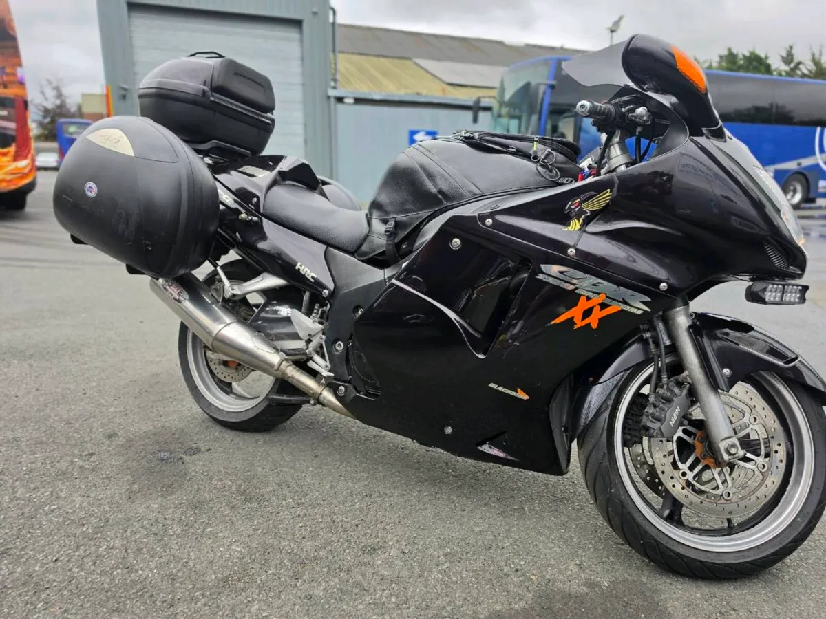 Honda Blackbird - Image 1