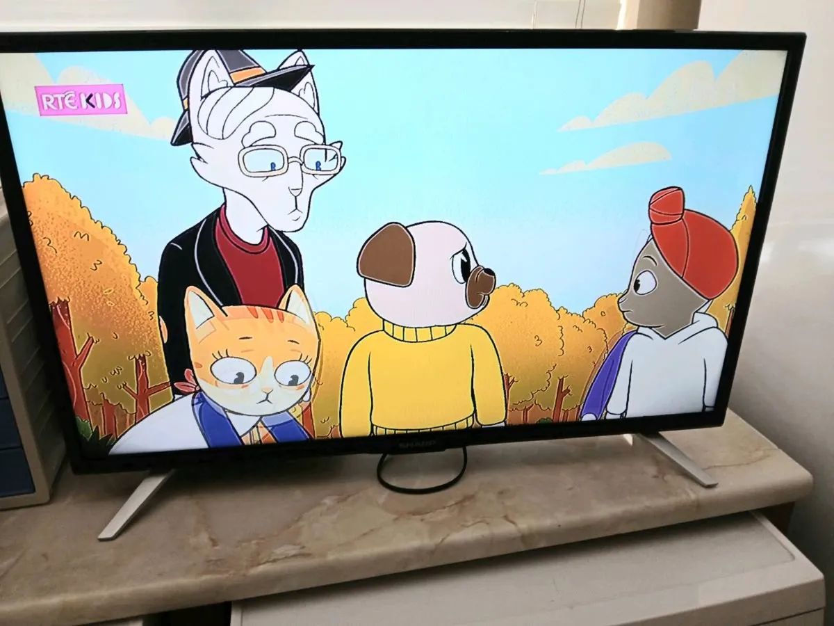 Sharp 32 inch hdmi Saorview tv with dvd built in. - Image 3