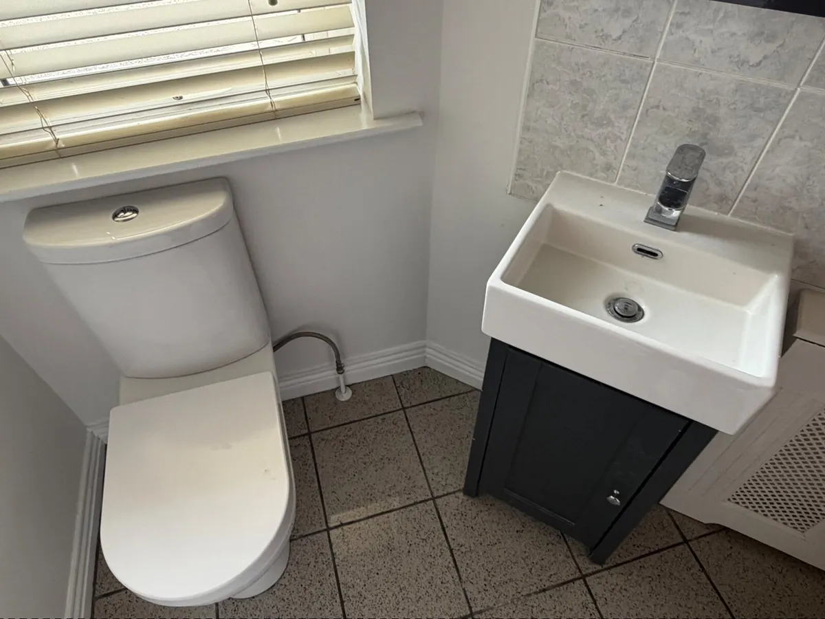 Large bathroom vanity, sinks & toilets - Image 2