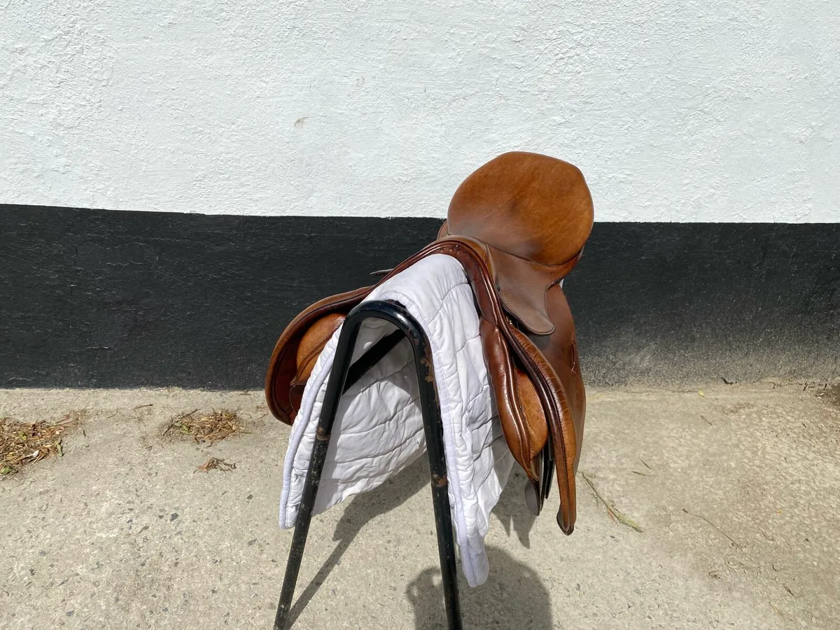 Brown Stubben Eidelweiss NT de luxe - Image 3