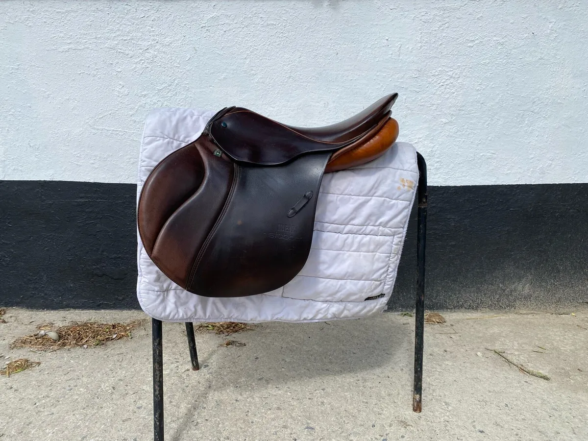 Brown Stubben Siegfried CS for sale - Image 1