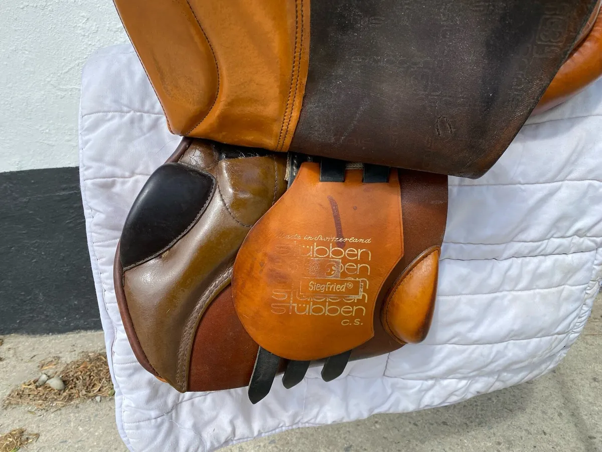 Brown Stubben Siegfried CS for sale - Image 2