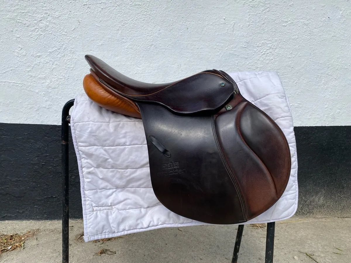 Brown Stubben Siegfried CS for sale - Image 4