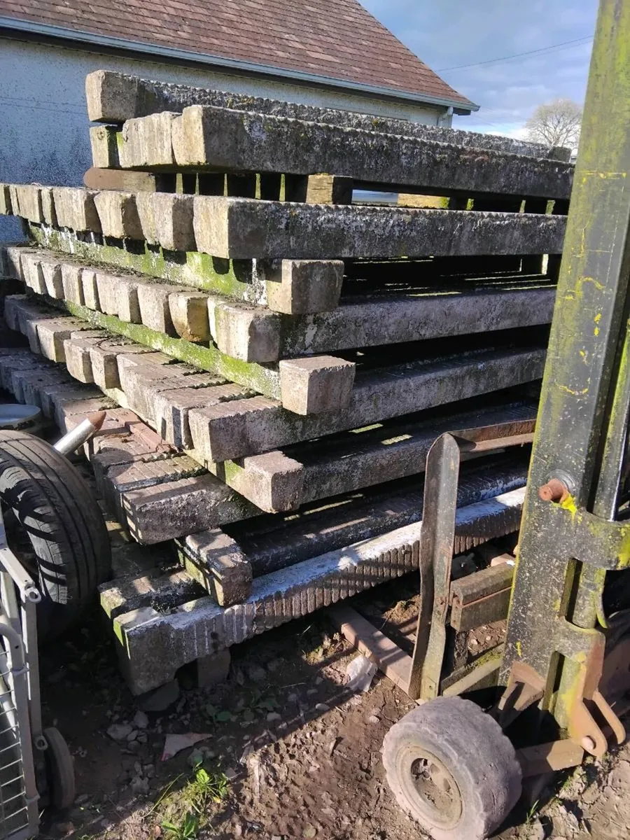 Cattle slats - Image 2