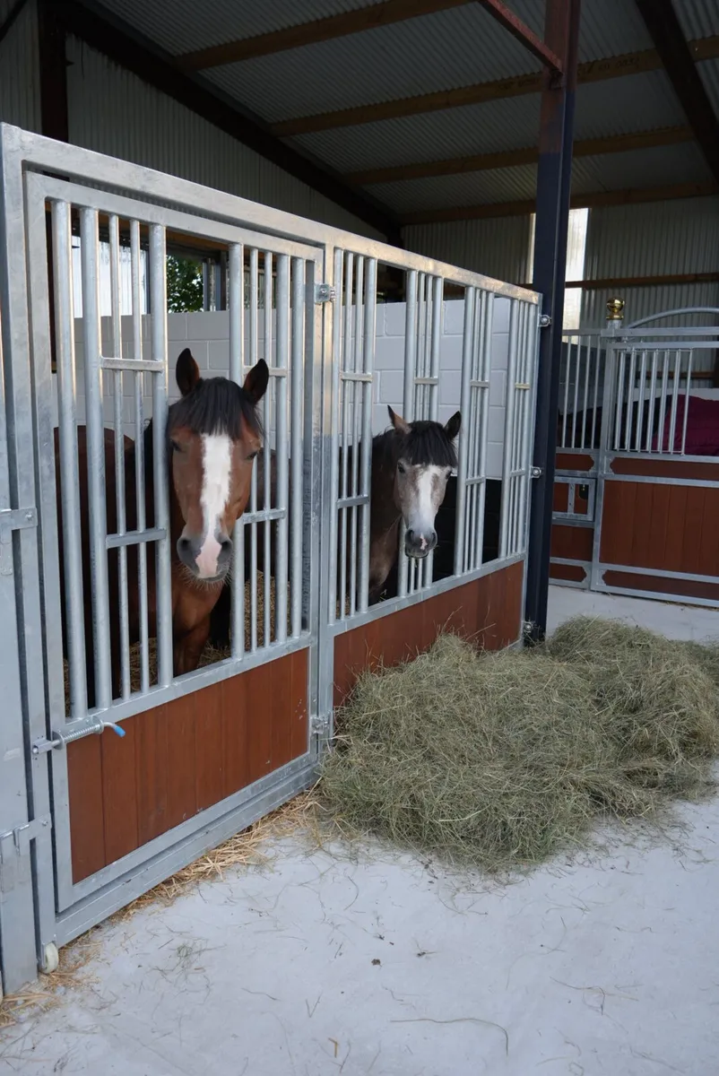 Horse Feeding Barriers - Image 1