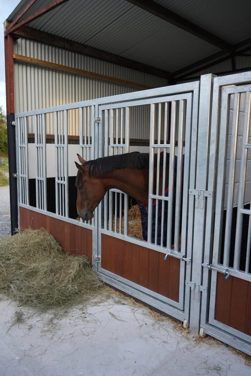 Horse Feeding Barriers - Image 2