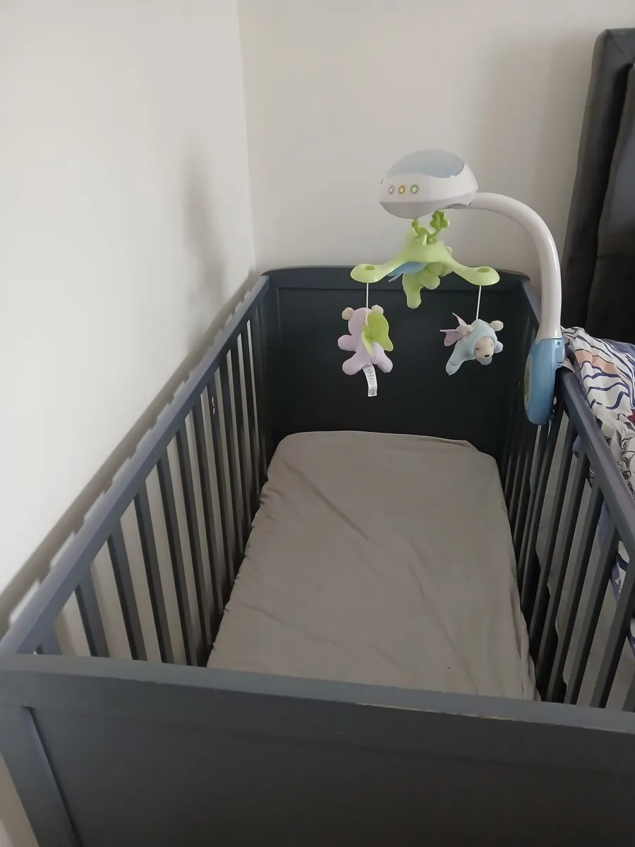Cot - Image 3