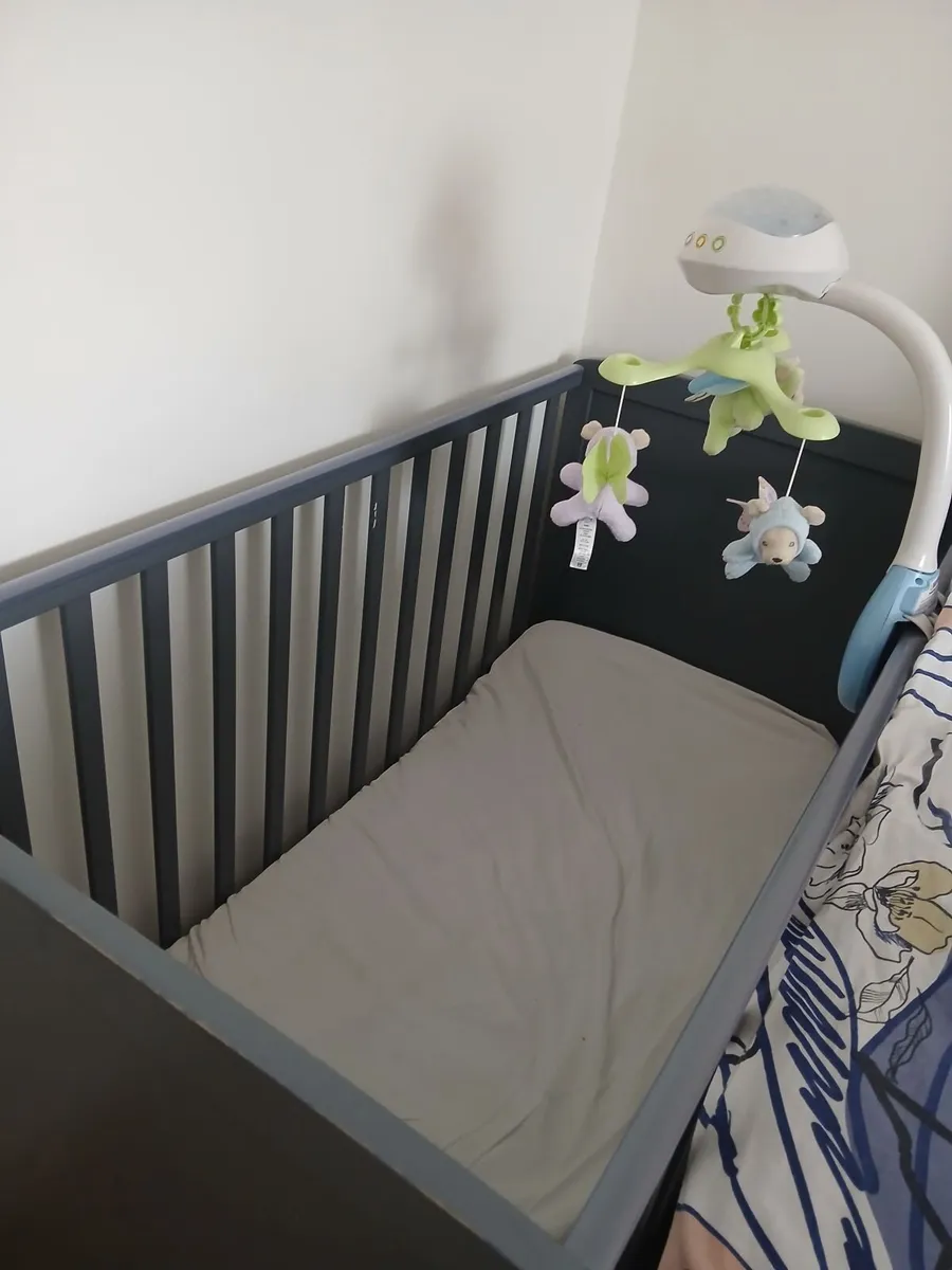 Cot - Image 1