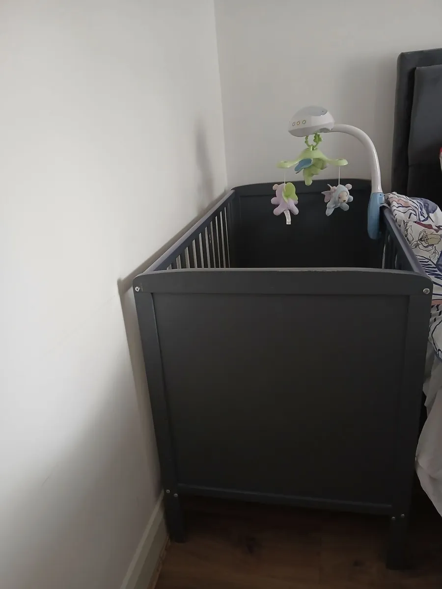 Cot - Image 4