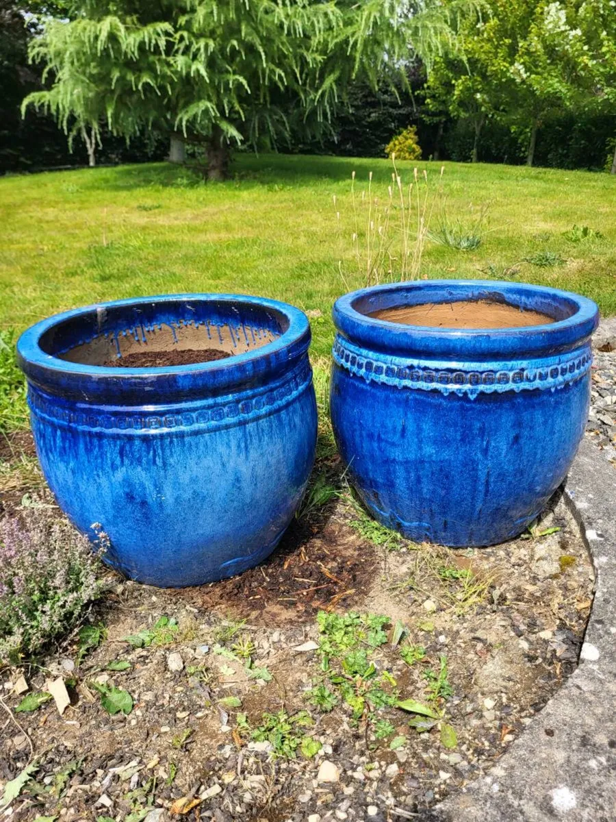 Plant pots - Image 1