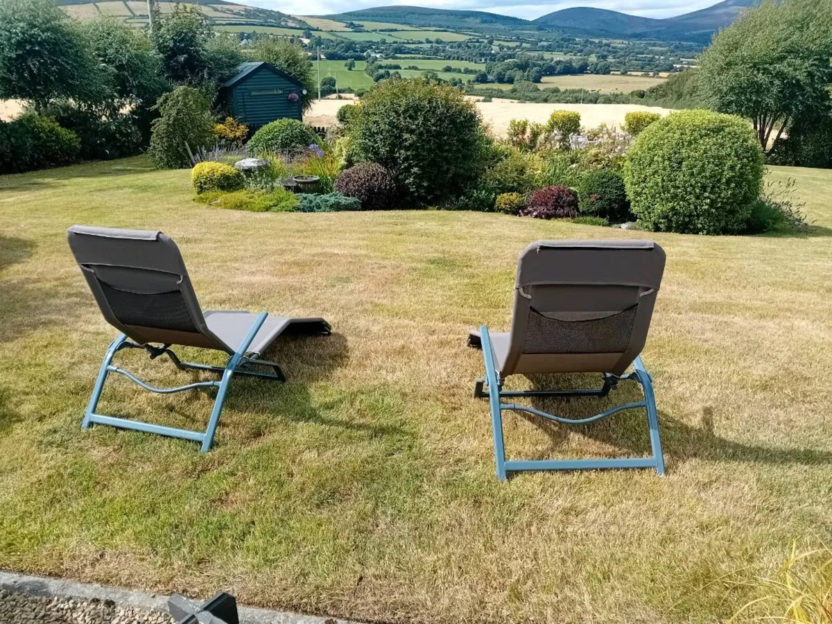 Two garden sunloungers - Image 1