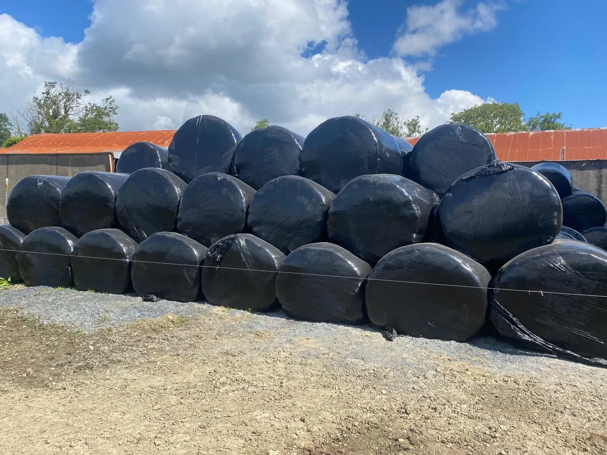 Organic Silage Bales