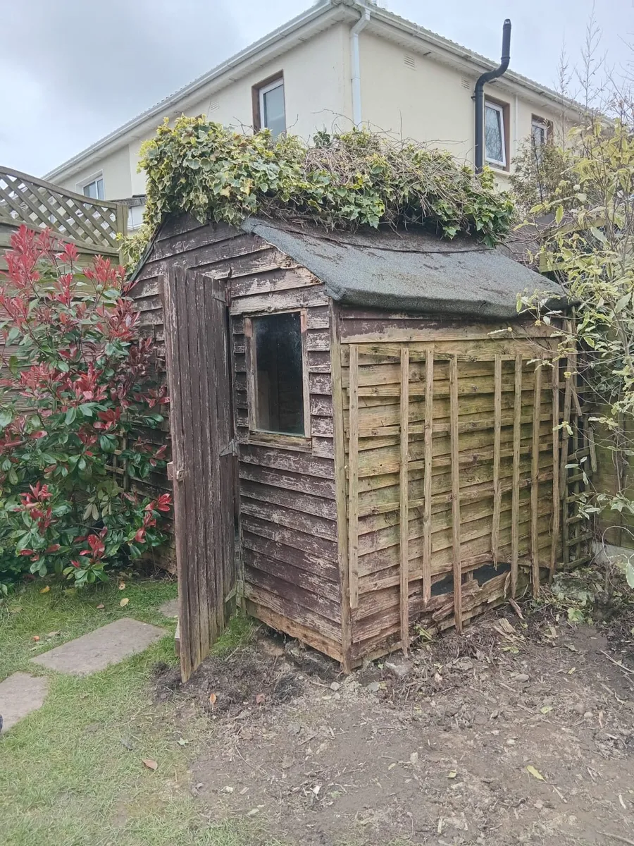 Old garden shed removal - Image 1