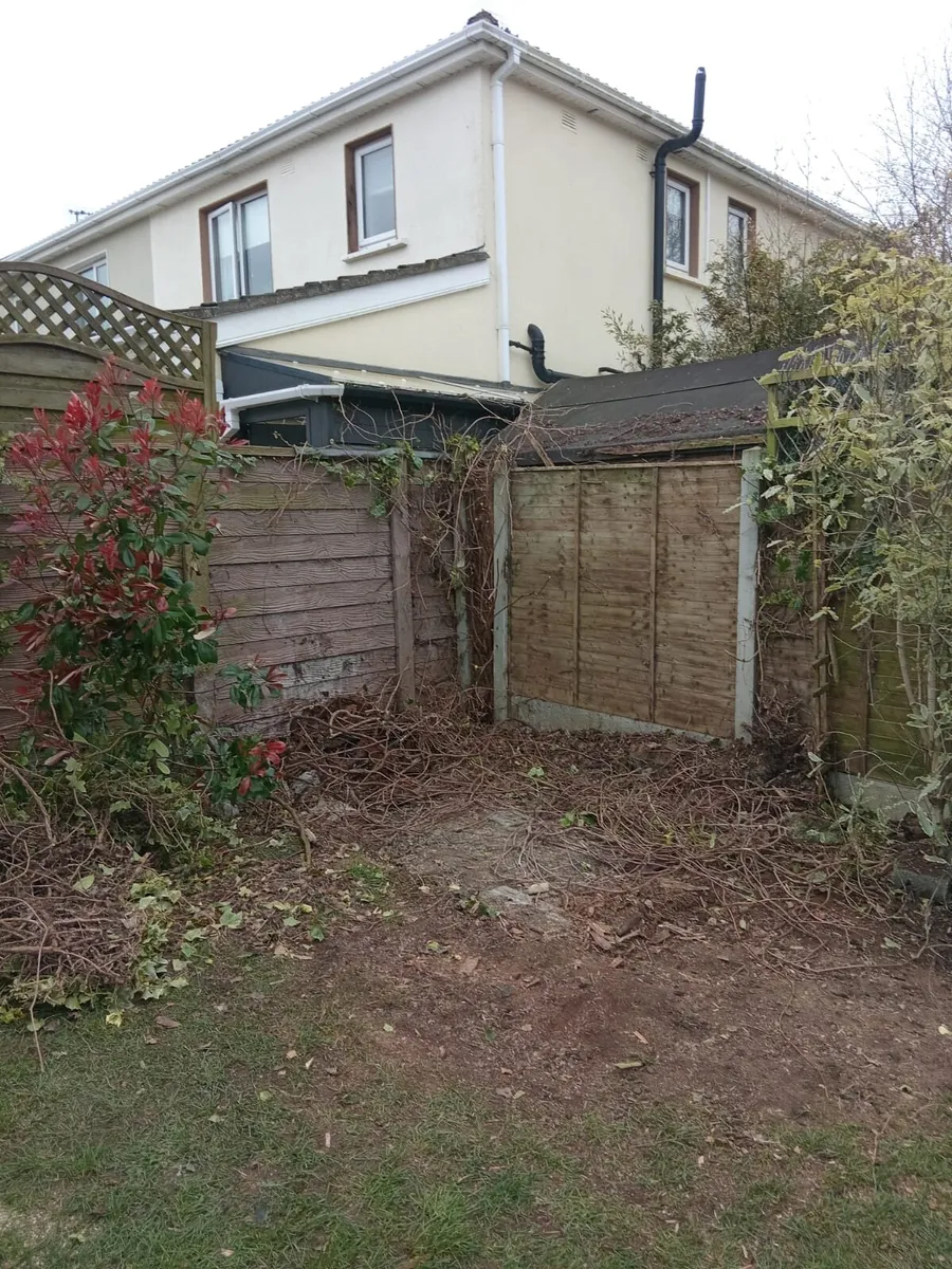 old garden shed removed service - Image 2