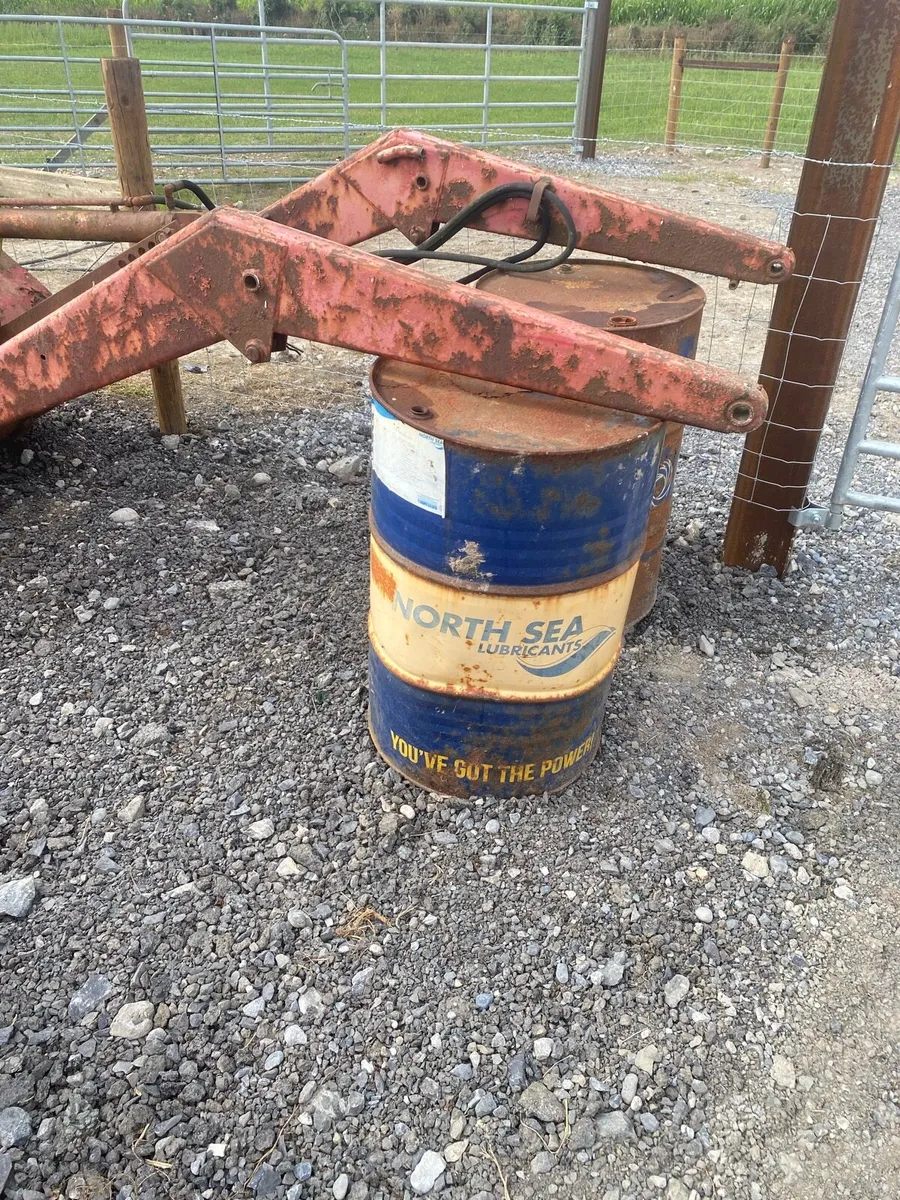 Yard clearance - Image 4