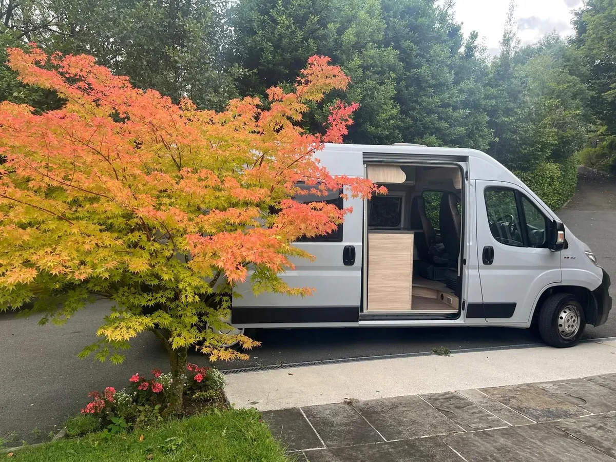 Weinsberg Carabus 600K 2021 4 Berth - Image 4