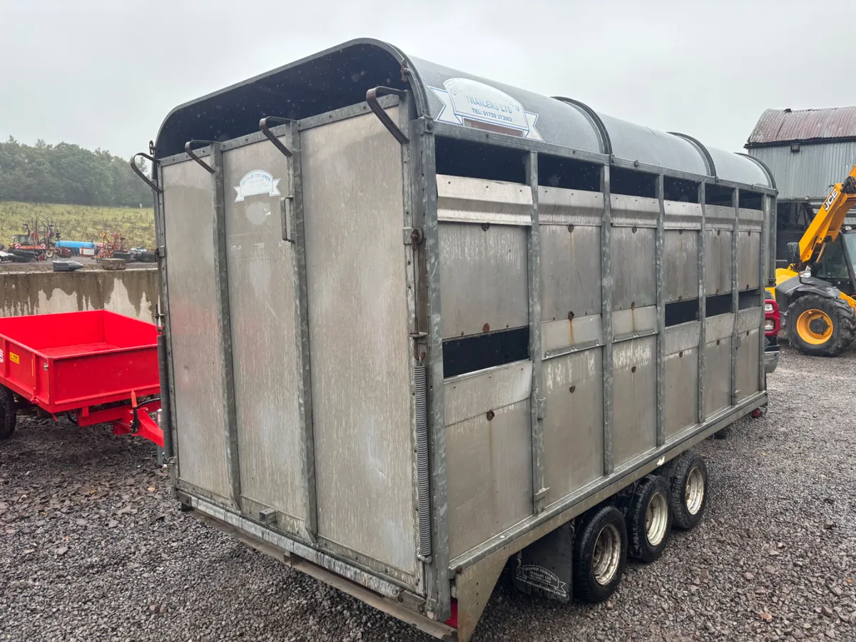 Graham edwards 12ft Tri axle demountable - Image 4