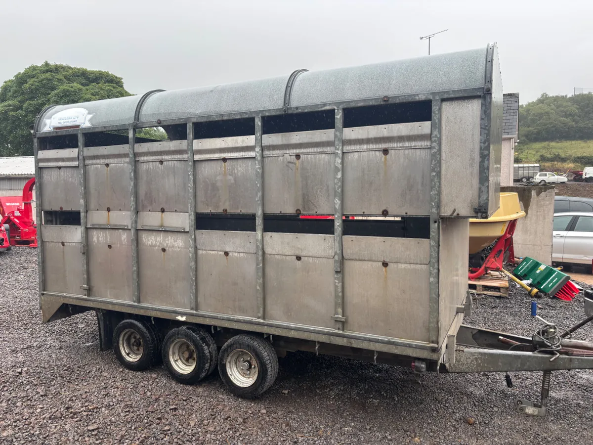 Graham edwards 12ft Tri axle demountable - Image 1