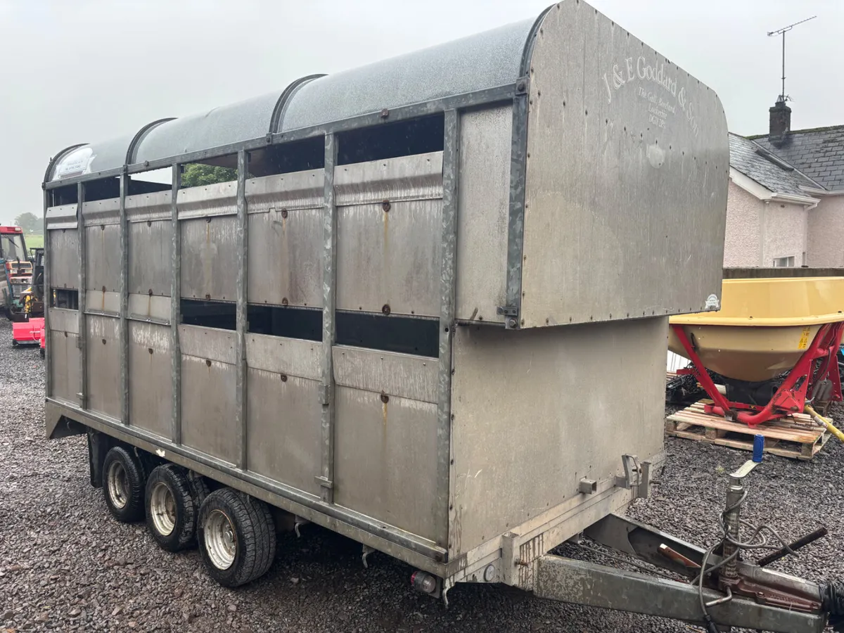 Graham edwards 12ft Tri axle demountable - Image 3