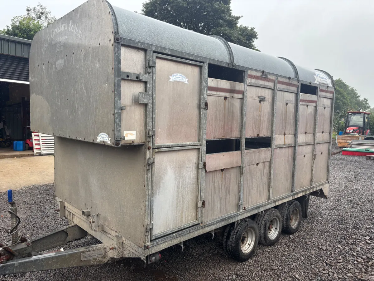 Graham edwards 12ft Tri axle demountable - Image 2