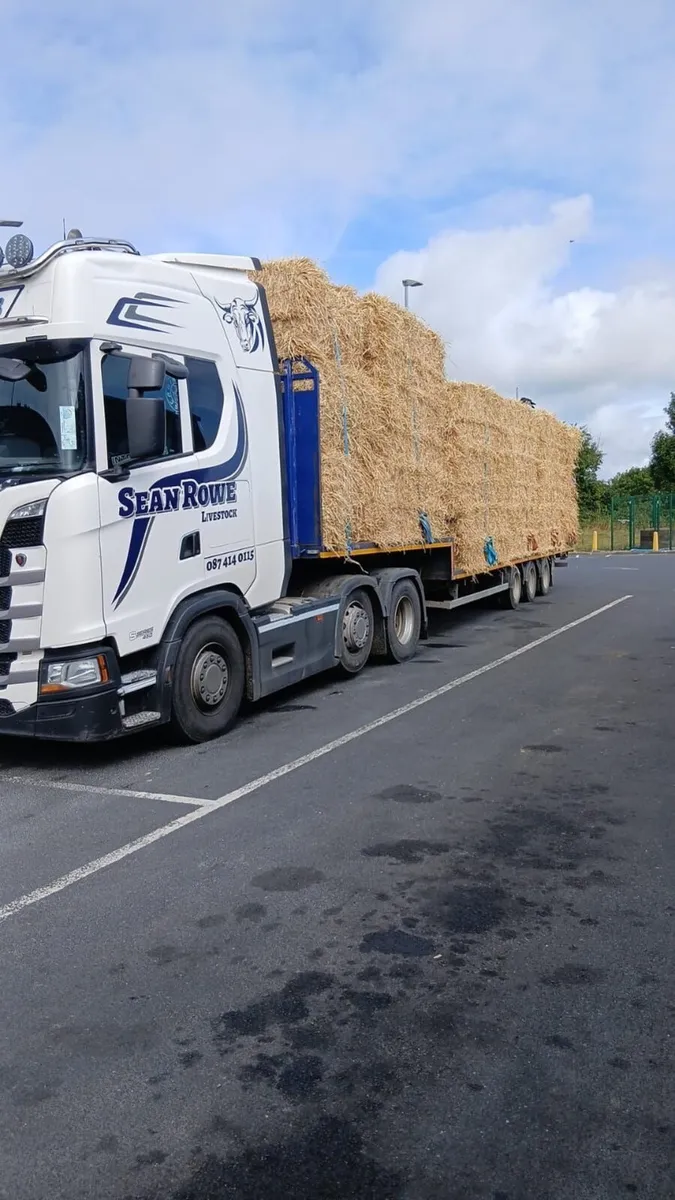 Straw for Sale - Image 1