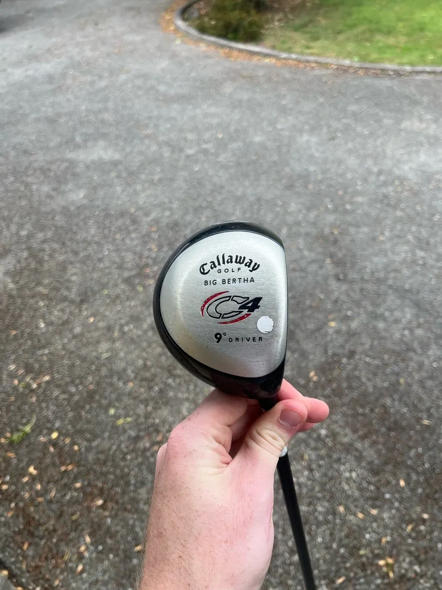 Driver - Image 1