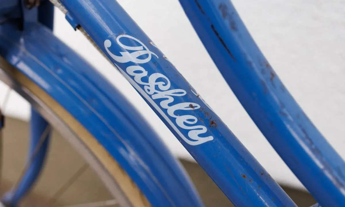 Pashley Poppy Bicycle - Image 2