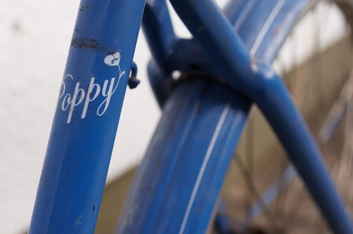 Pashley Poppy Bicycle - Image 3