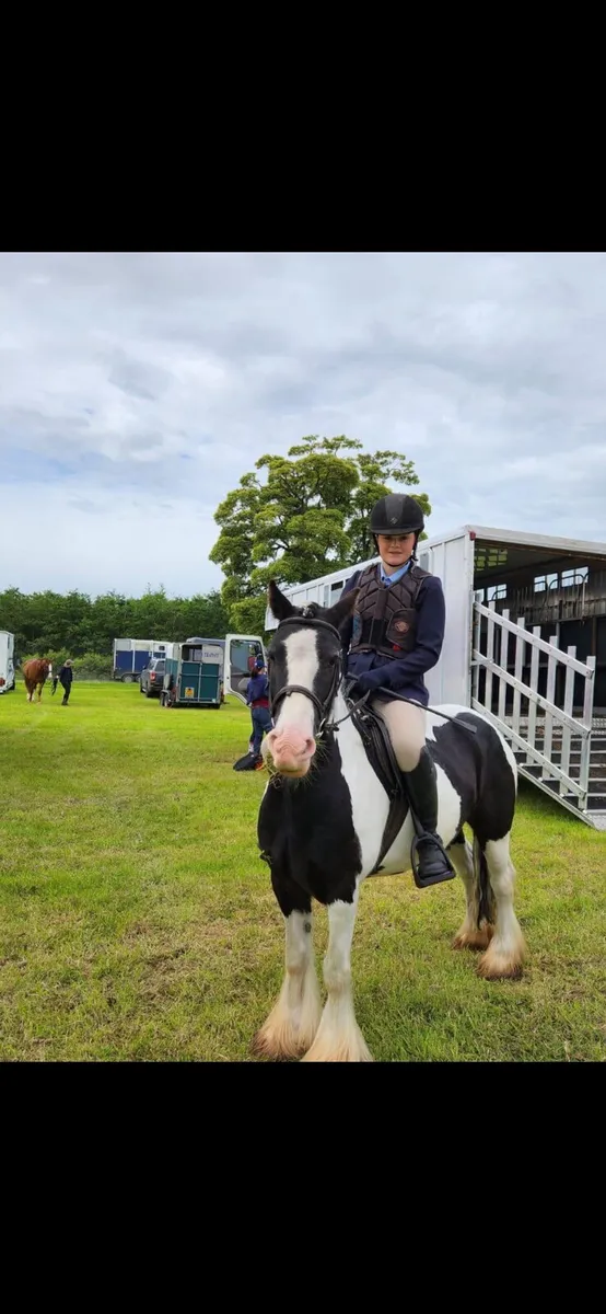 Childs pony for sale - Image 1