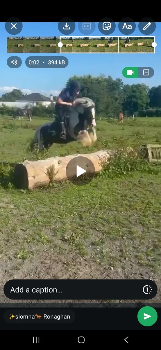 Childs pony for sale - Image 2