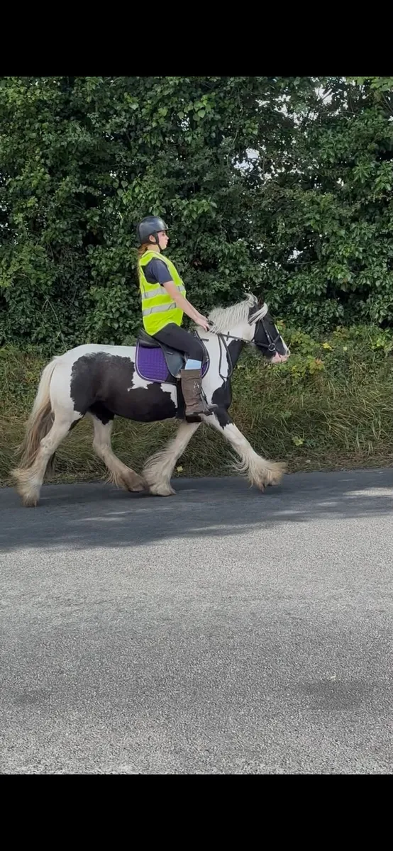 Childs pony for sale - Image 3