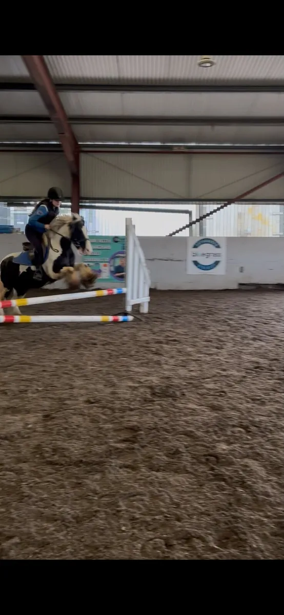 Childs pony for sale - Image 4