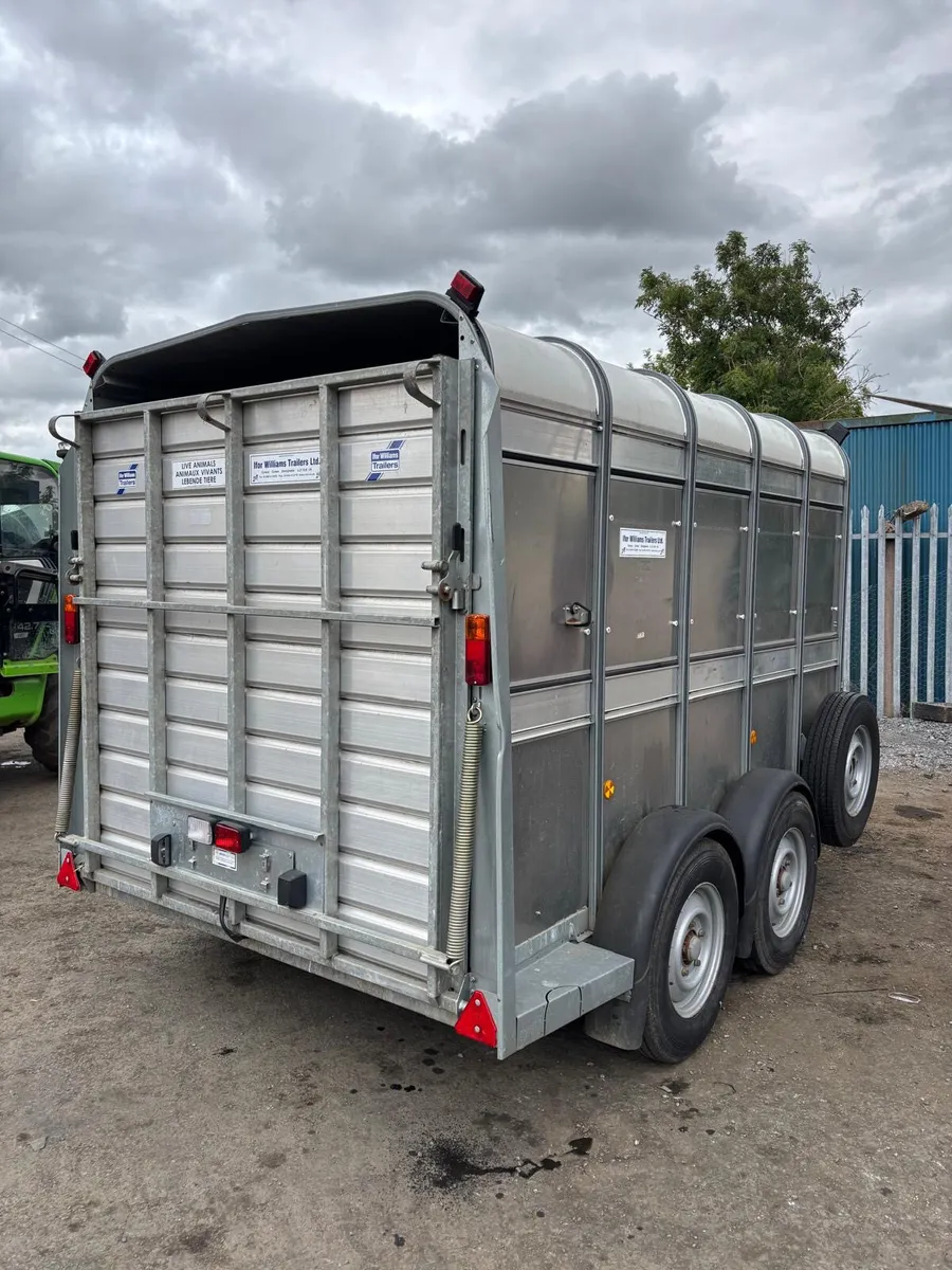 Ifor Williams 10ft cattle trailer - Image 3