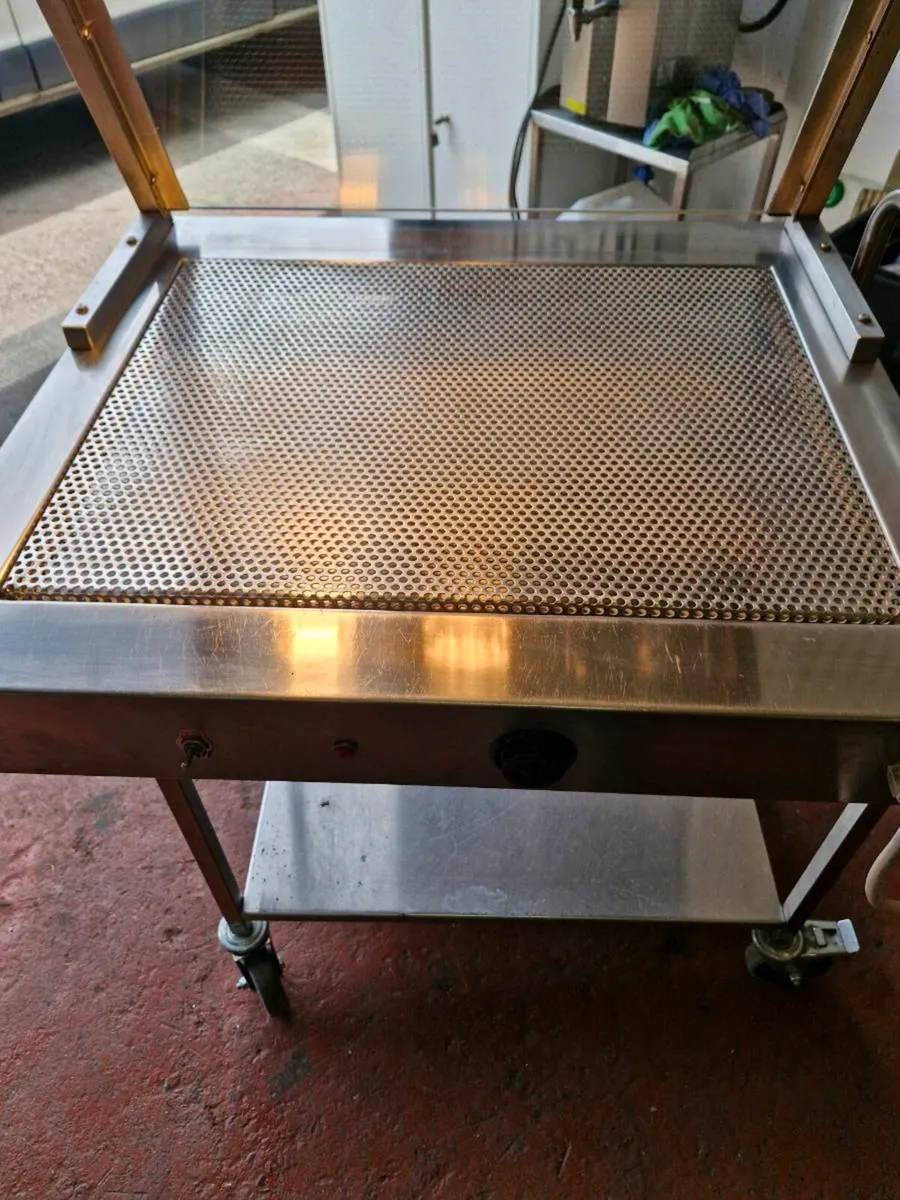 Carvery Station with Hot Lamps and Base Heat - Image 3