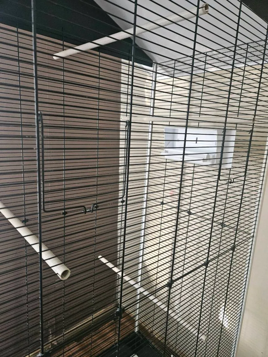 Bird Cage - Image 4