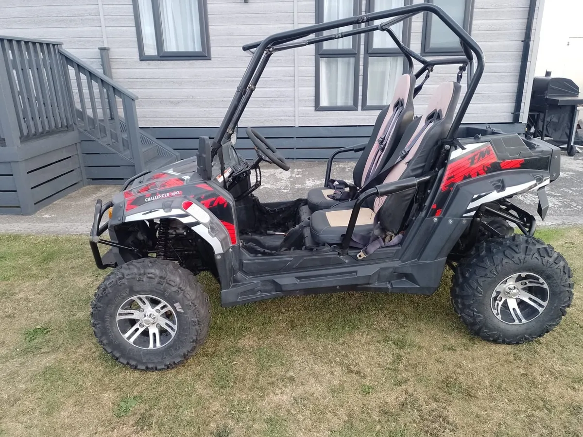 Buggy - Image 2