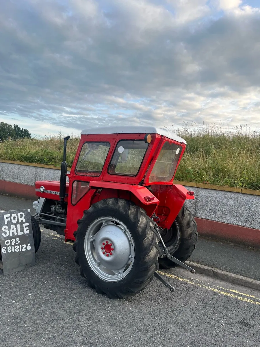 135 Massey - Image 3