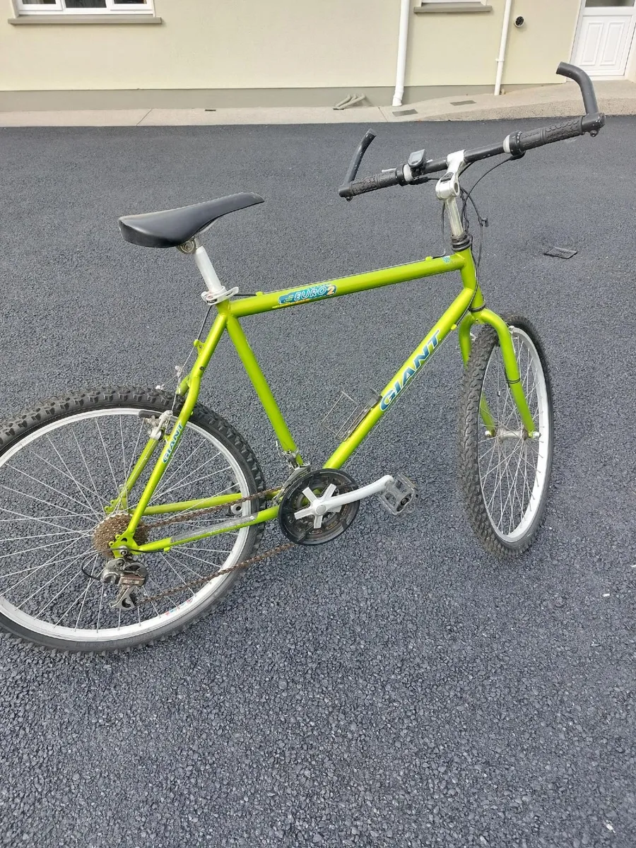 Bicycle for Sale - Image 4