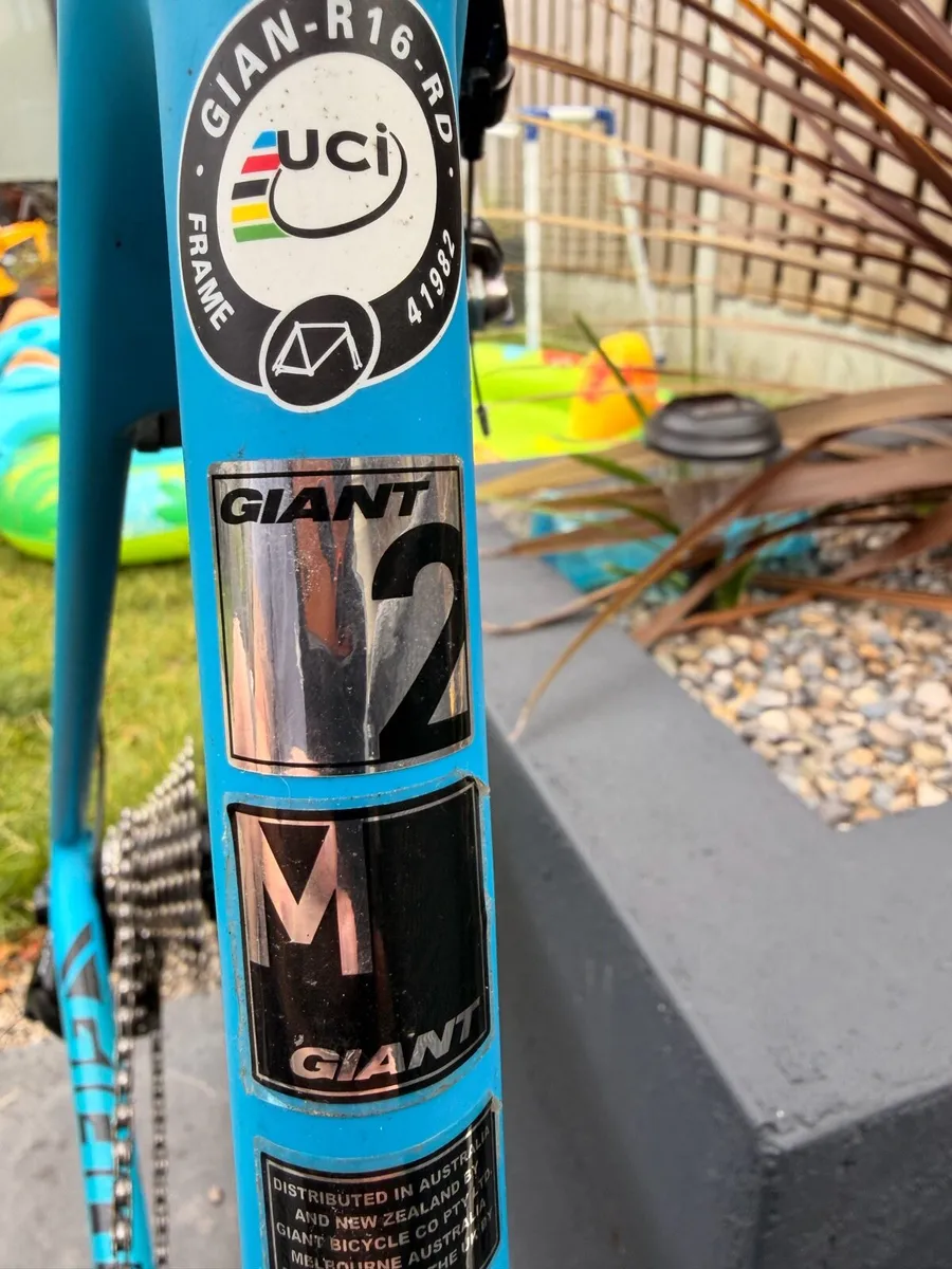 Giant TCR. - Image 3