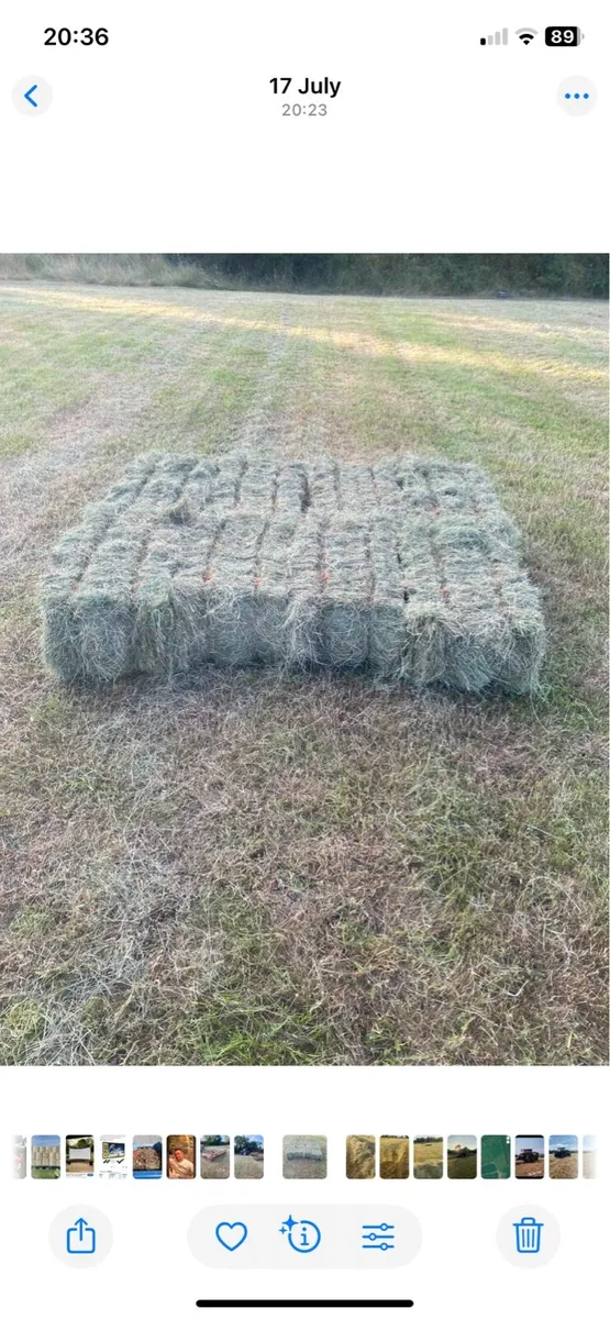 Square bales of hay - Image 1