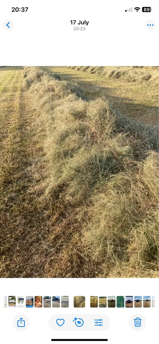 Square bales of hay - Image 3