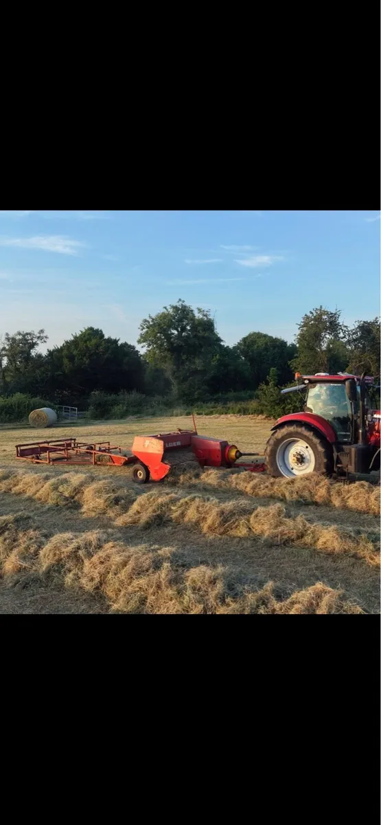 Square bales of hay - Image 4