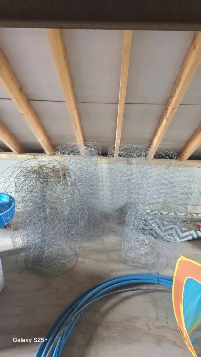 Chicken wire