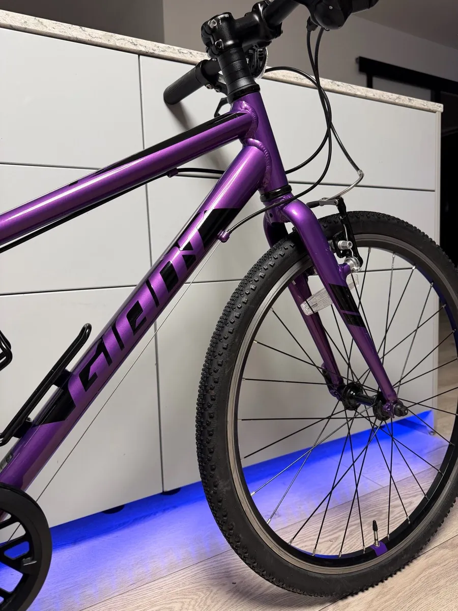 Giant ARX Junior Bike 24 inch (Like NEW) - Image 3
