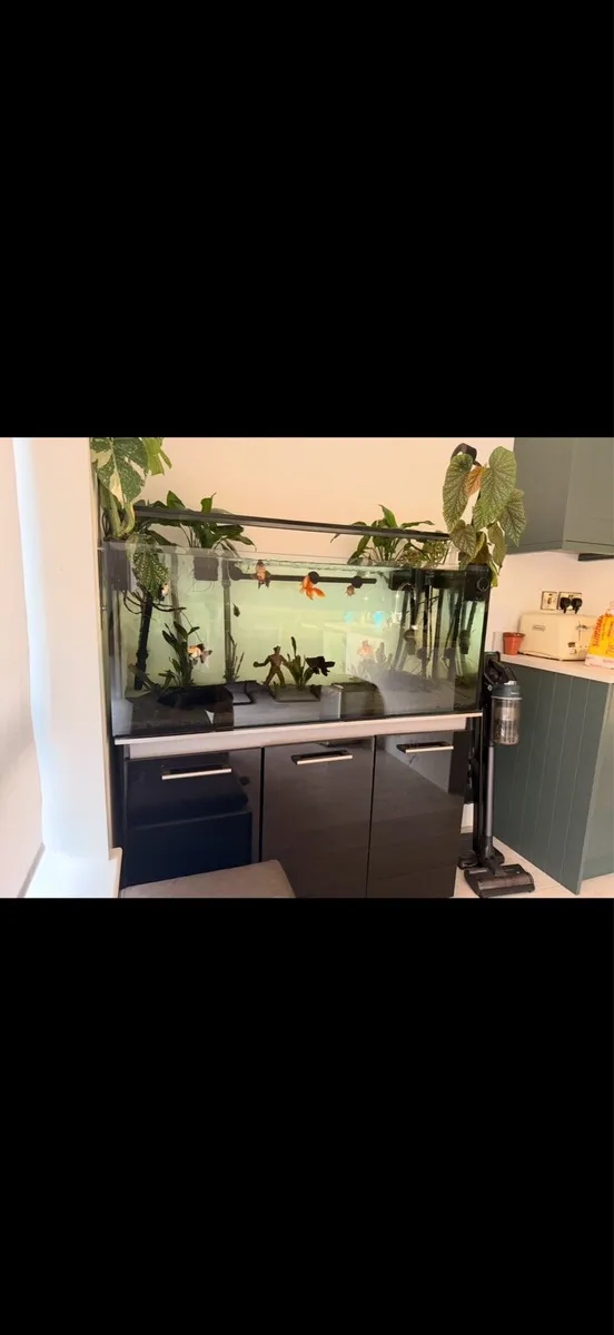 Fish tank custom built - Image 1