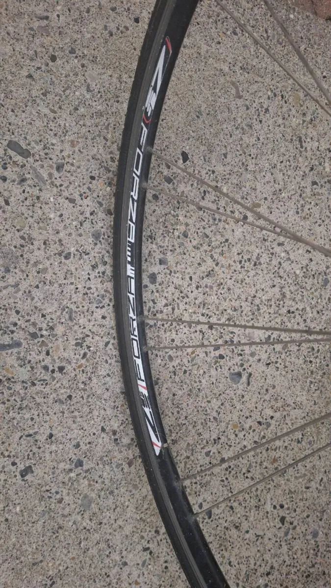 Giant contend 1 - Image 2