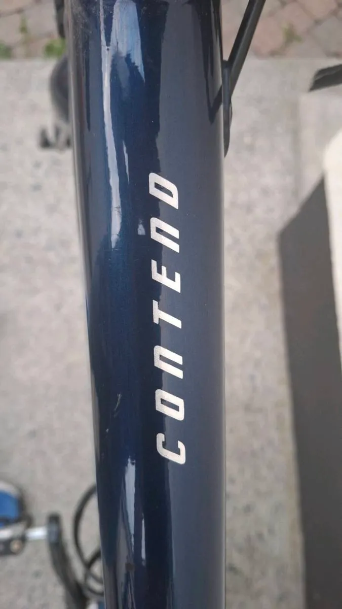 Giant contend 1 - Image 3